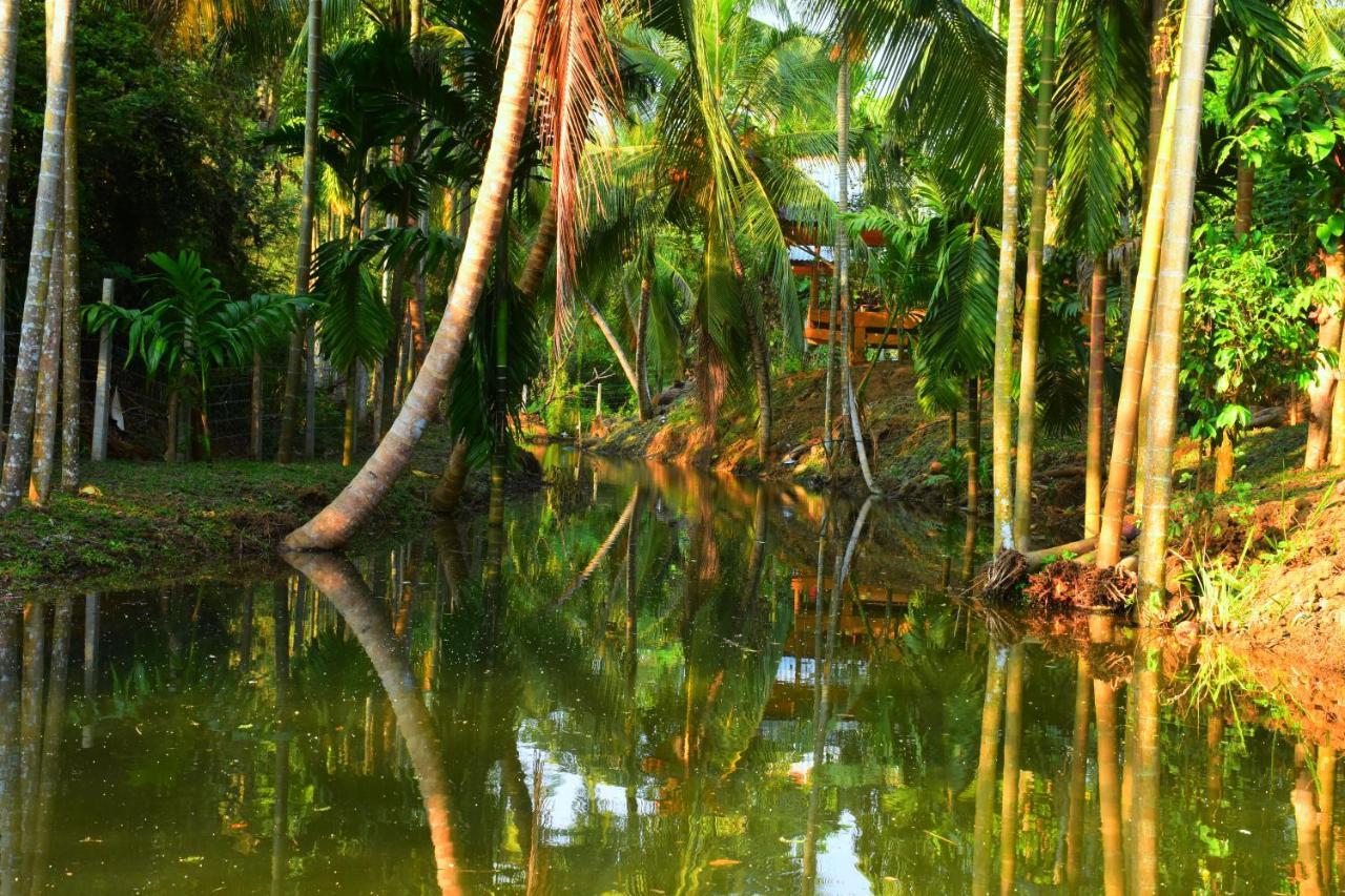 Wild Lake Side Удавалаве Екстер'єр фото
